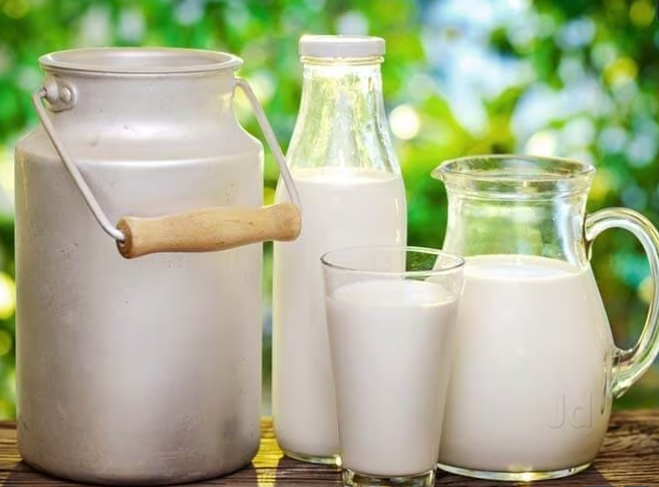fresh milk and basic dairy products