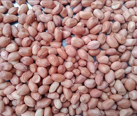 roasted peanut & salted peanut