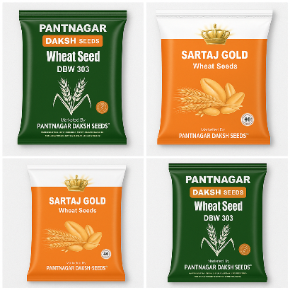 Wheat Seeds
