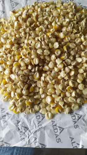 Cattle Feed Pure Veg and White Maize