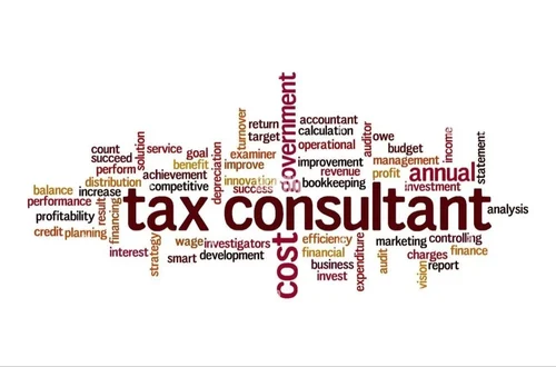 Income Tax Consultant