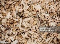 Popular Wood Chips