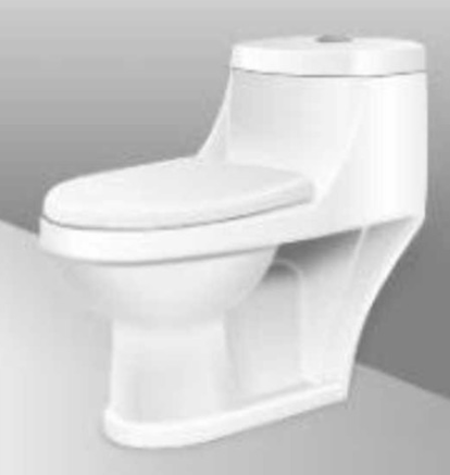 Designer One Piece Western Toilet