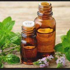 Mentha Arvensis Oil