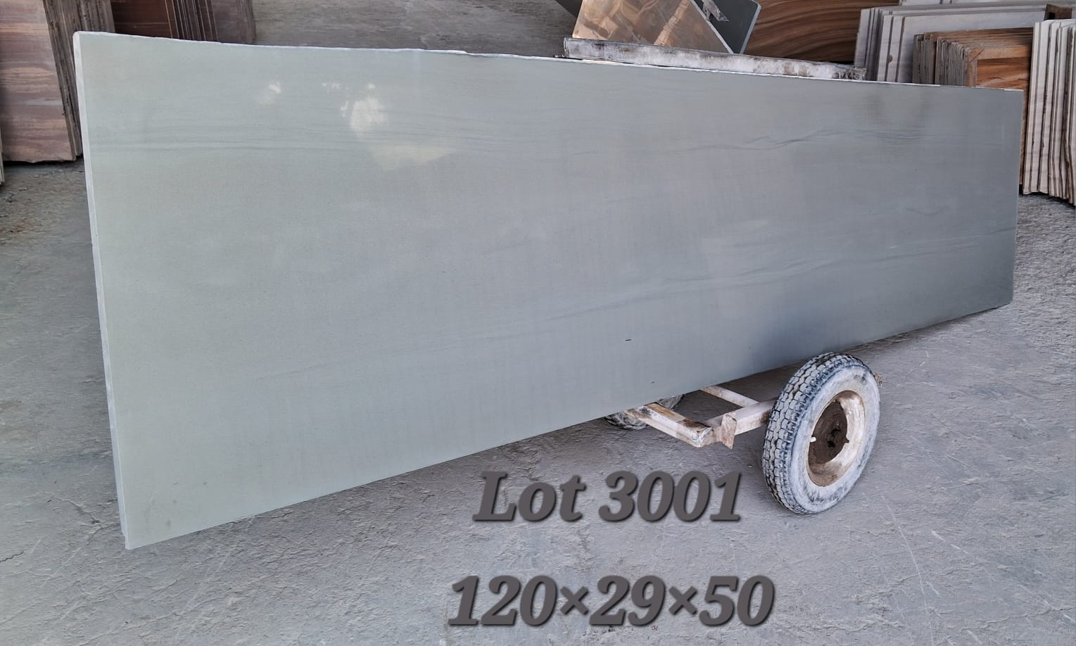 Premium Kandla Grey