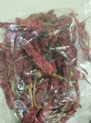 Red Mirchi (chilli)