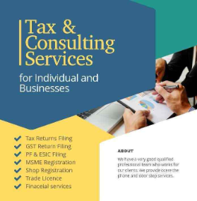 Audit, Income Tax, GST, MSME Consultancy