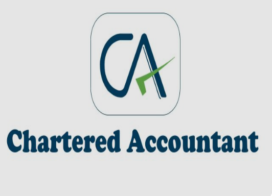 Chartered Accountant Services