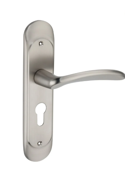 Brass Mortise Handle