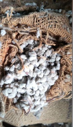 cotton seed cake & other products 
