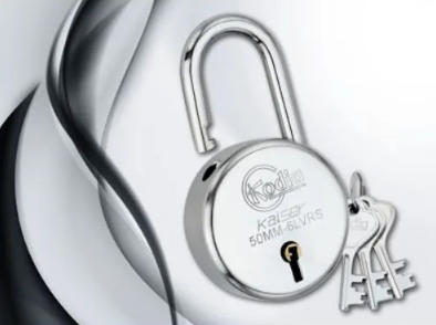 Door Lock