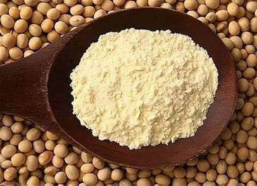 Soybean Protein Concentrate