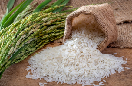 Basmati Rice