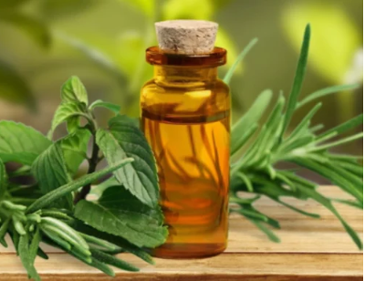 Indian Mentha Piperita Oil