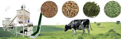 CATTLE  FEED 