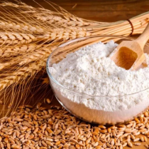 Wheat Flour Maida