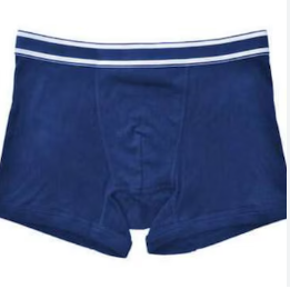 undergarments