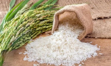 Organic Rice