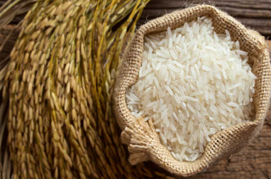 Organic Basmati Rice