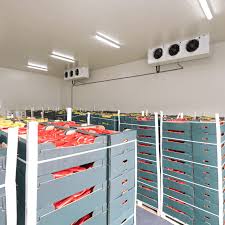 COLD STORAGE 