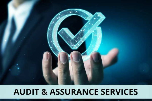 Audit and Assurance Services