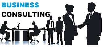 Buiseness Consulting 