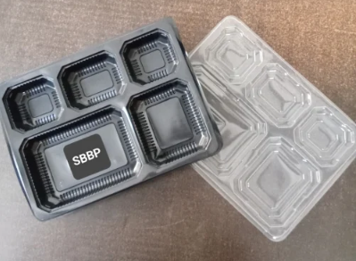 5 Portions Food Packing Plates With Lid