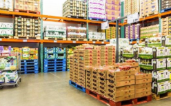 Wholesale Trade