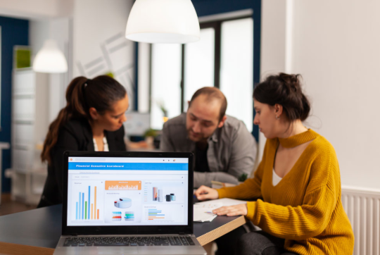 ERP Implementation Support
