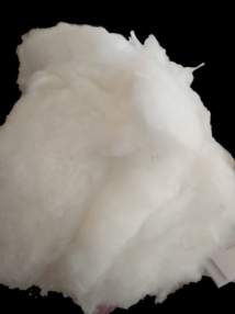 Polyester Fiber waste