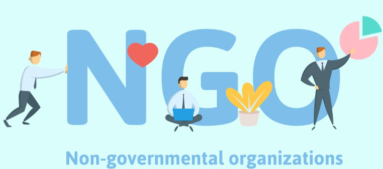 Non-Governmental Organization