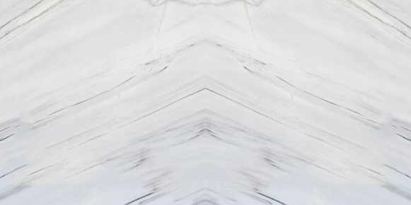 LASA WHITE