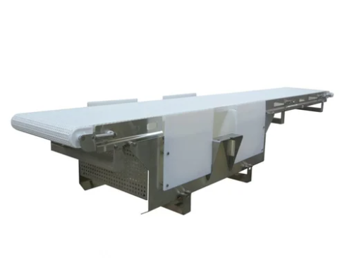 Inspection Conveyor