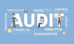 Service Tax Auditors