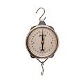 Stainless Steel Dial Spring Balance