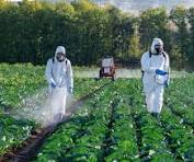 Pesticides