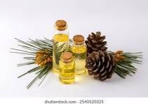 Turpentine and Pine Oil
