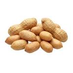  Raw Peanut #malaysia 