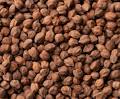 Desi Chana 