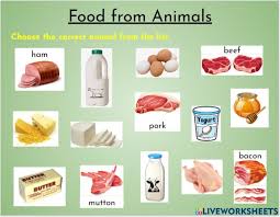  Animal Food