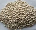 White Pea Beans