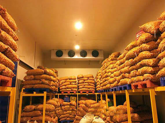  Cold Storage For Potato