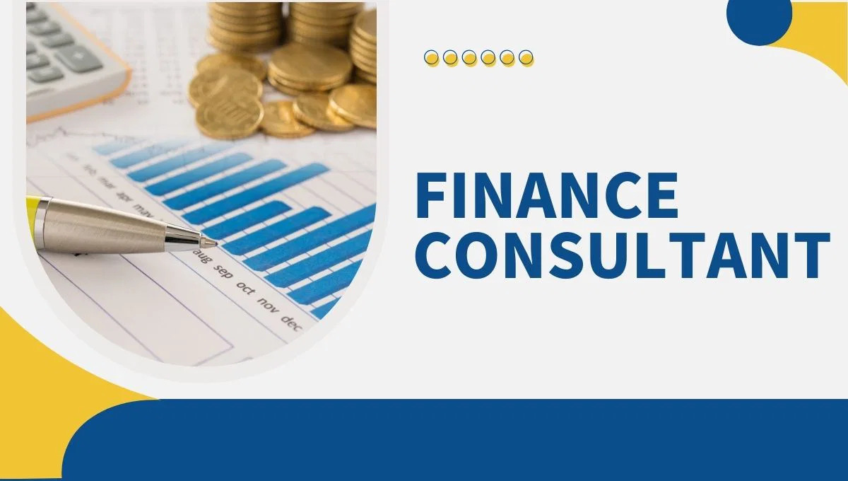 Finance Consultant