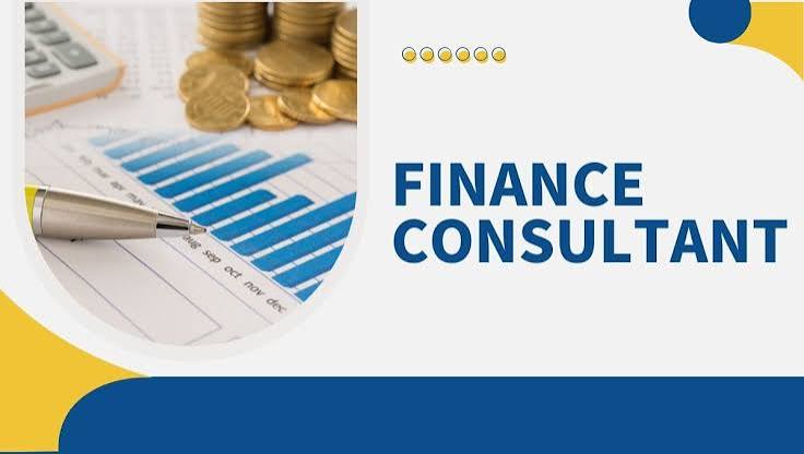 Finance Consultant