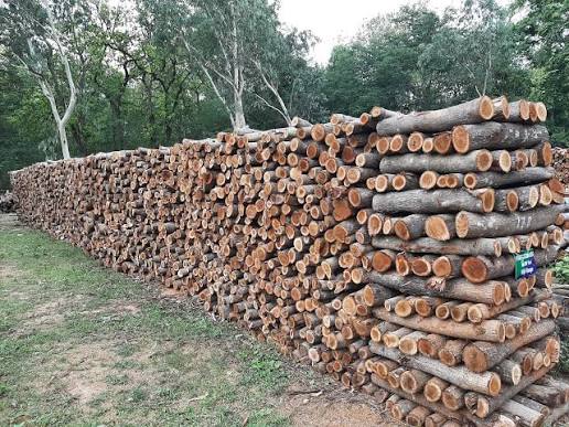 Fuel Wood 