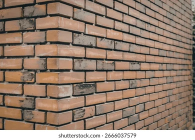 Bricks 