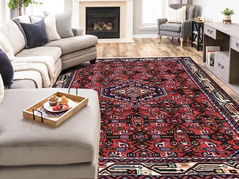 Hamadan Rug(carpets)