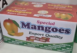 Corrugated Alphonso Mango Box