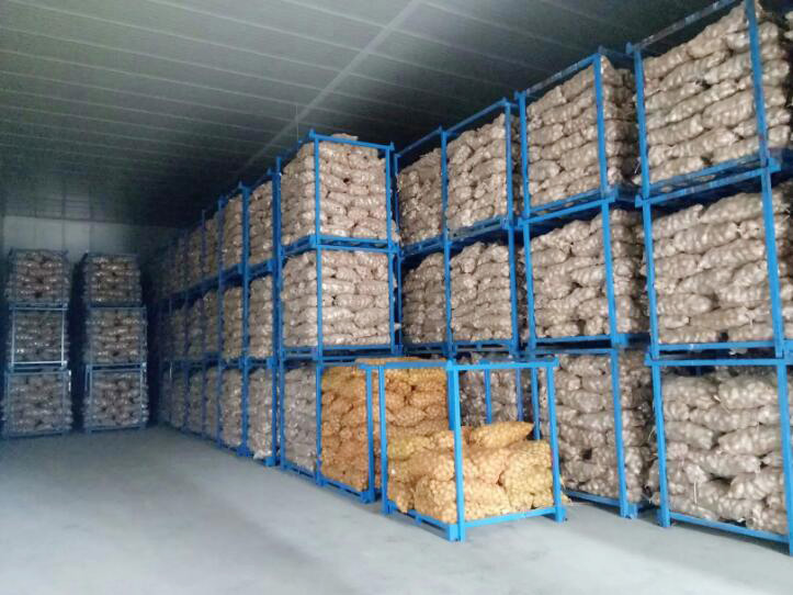 Cold Storage Services For Potato