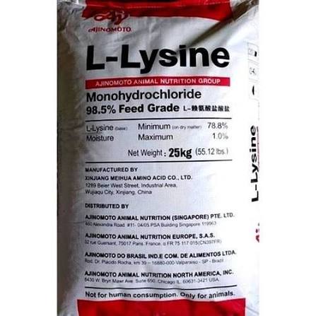 LLYSINE FEED / USP